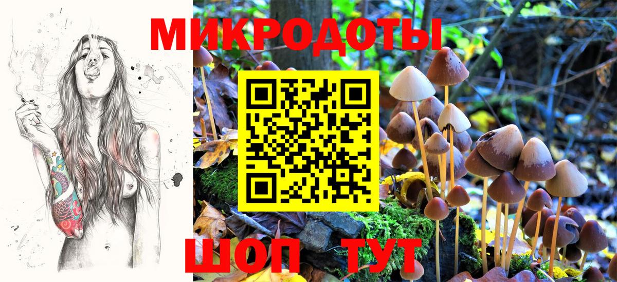 Псилоцибиновые грибы Psilocybe  Галлюциногенные грибы ЛСД  Будённовск  Вход с VPN 